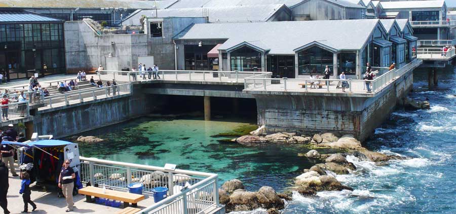 Monterey Real Estate for sale and rent